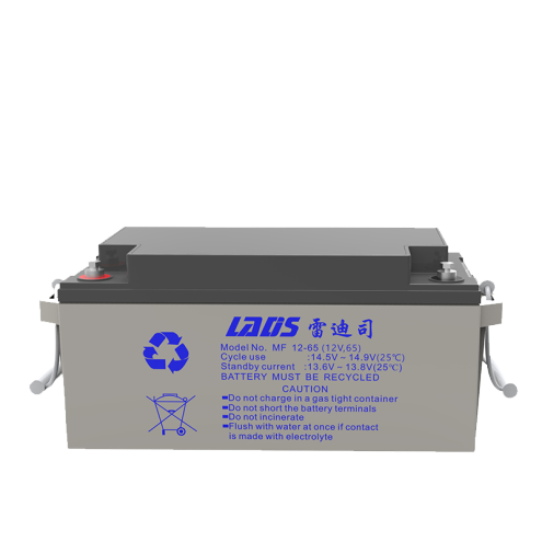 雷迪司UPS铅酸电池MF12-65 12V 65AH